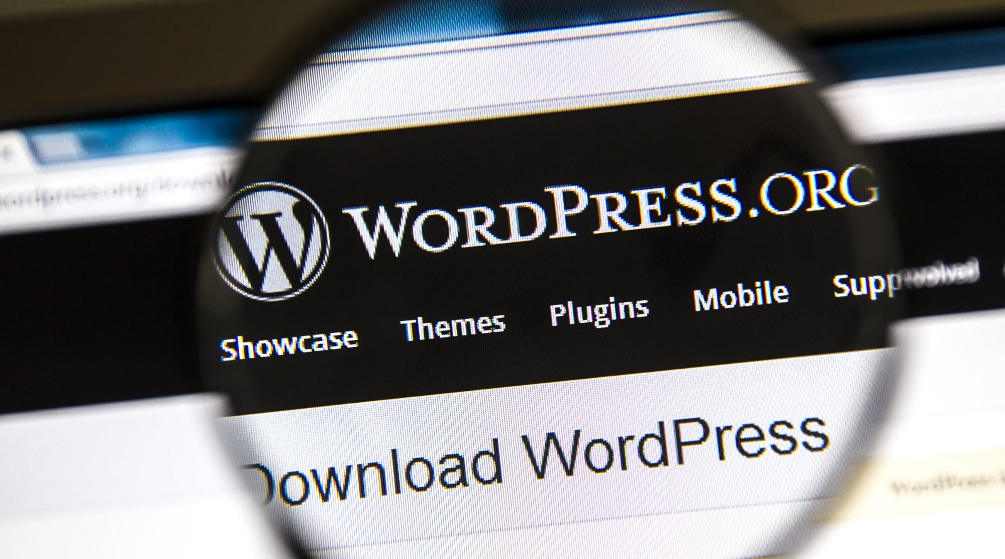 powerful-benefits-of-using-a-self-hosted-wordpress-website-foxblogging